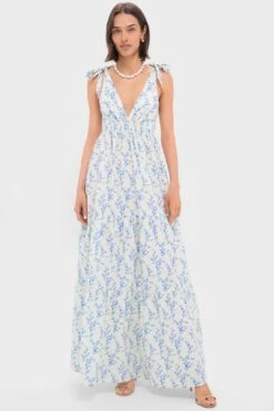 Floral Toile Betsy Dress