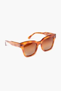 07 Havana Sunglasses -Urban Motion TqNnVxnYfFfAwilDFvEwux5cDLtHyydf 1