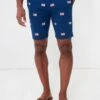 Navy American Flag Embroidered Stretch Twill Cisco Shorts 2 Navy American Flag Embroidered Stretch Twill Cisco Shorts -Urban Motion b0xKj6YmqBnMAz6l3mzNBFEcNaHAmC4W 1 2e06b7d6 df95 4086 a6a1 4e3e1b98bc6f