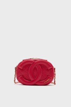 CHANEL Pink CC Camera Case