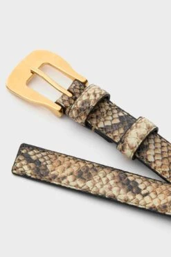 Python Macchia Square Buckle Belt -Urban Motion qWWjqK2ejsu5brBuzpl0HGdY0i34Kbv3 1